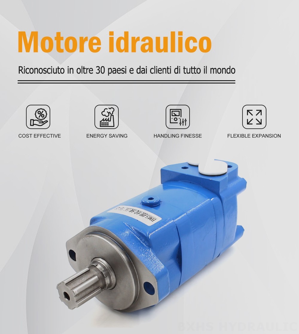 BM5_Motore Idraulico Cicloide-3 125 cc/r 75 L/min Motore idraulico